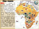 Африка — второй по величине материк Земли после Евразии (площадь — 29,2 млн км2, с островами — 30,3 млн км2). Большую его часть занимают возвышен-ности и плоскогорья, а горных территорий меньше, чем на других материках. Африка — самый жаркий материк, на котором располо-жена величайшая пустыня мира. 