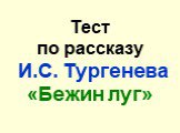 Тест по рассказу И.С. Тypгeнeвa «Бежин луг»