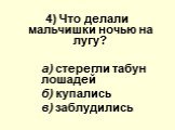 4) Что делали мальчишки ночью на лугу? а) стерегли табун лошадей б) купались в) заблудились