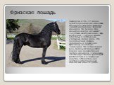 Выведена в 16—17 веках путём скрещивания испанских лошадей с местной тяжелой «холоднокровной» породой лошадей. На Западе этих лошадей иногда называют «черными жемчужинами», ведь фризская — одна из самых красивых и необычных упряжных пород мира. Эта экзотическая порода появилась в провинции Фризланд 