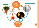 СО2 в промышленности фотосинтез дыхание горение
