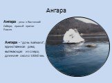 Ангара. Ангара - "дочь Байкала", единственная река, вытекающая из озера, длина её около 1860 км. Ангара - река в Восточной Сибири, правый приток Енисея.