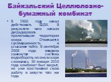 Байкальский Целлюлозно-бумажный комбинат. В 1966 году начал действовать БЦБК. В результате чего начали деградировать прилегающие территории озера. Отмечается суховершинность и усыхание тайги. В сентябре 2008 года введена замкнутая система водооборота, но она вскоре сломалась. 30 января 2010 года ком