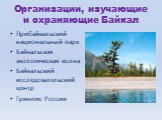 Организации, изучающие и охраняющие Байкал. Прибайкальский национальный парк Байкальская экологическая волна Байкальский исследовательский центр Гринпис России