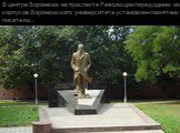 В центре Воронежа на проспекте Революции перед одним из корпусов Воронежского университета установлен памятник писателю.