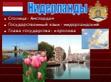 Столица- Амстердам Государственный язык- нидерландский Глава государства- королева. Нидерланды