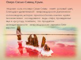Озеро Сасык-Сиваш, Крым. Морская соль из озера Сасык-Сиваш имеет розовый цвет, благодаря удивительной микроводоросли Дуналиелла солоноводная, которая приспособилась к жизни в рапе. Биохимические исследования воды озера, проведенные еще в 1903 году, показали, что продуктом жизнедеятельности микроводо
