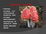 Красный мухомор. Красный мухомор - это классический ядовитый гриб, который предупреждает окружающих об опасности своим ярким внешним видом.