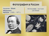 Фотография в России. Академик Юлий Фёдорович Фрицше (1808 – 1871). Фотограммы листьев растений
