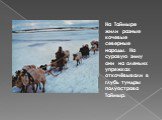 На Таймыре жили разные кочевые северные народы. На суровую зиму они на оленьих упряжках откочёвывали в глубь тундры полуострова Таймыр.