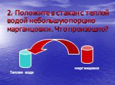 2. Положите в стакан с теплой водой небольшую порцию марганцовки. Что произошло? Теплая вода