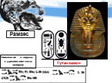 Тутанхамон Рамзес. Упоминание о вирусах в древнеегипетском папирусе