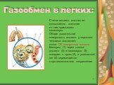 Газообмен в легких: Стенки альвеол состоят из однослойного эпителия и к ним примыкают капилляры. Общая дыхательная поверхность альвеол у взрослого человека составляет около 120 квадратных метров. Кислород (1) через стенки альвеол (2) и капилляров (3) попадает в кровь (4), а углекислый газ (5) переме