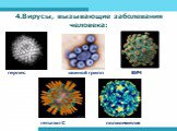 4.Вирусы, вызывающие заболевания человека: герпес свиной грипп ВИЧ. гепатит С полиомиелит