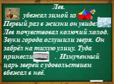 Лев. убежал зимой из . Первый раз в жизни он увидел Лев почувствовал колючий холод. Звуки города оглушили зверя. Он забрёл на тихую улицу. Туда принесли . Измученный царь зверей с удовольствием вбежал в неё.