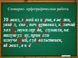 Спасибо за урок. Словарно- орфографическая работа. Убежал, зимой из цирка, в жизни, увидел, снег, почувствовал, колючий холод, звуки города, оглушили, на тихую улицу, принесли измученный, с удовольствием, вбежал , в неё