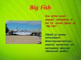 Big Fish. One of the most popular attractions is the 10 - meter figure of "Big Fish”. Одной из самых популярных достопримечатель-ностей является 10-метровая фигура «Большой рыбы».