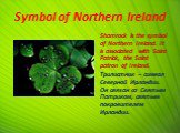 Symbol of Northern Ireland. Shamrock is the symbol of Northern Ireland. It is associated with Saint Patrick, the Saint patron of Ireland. Трилистник – символ Северной Ирландии. Он связан со Святым Патриком, святым покровителем Ирландии.