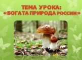 Тема урока: «Богата природа России»