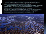 Васюганские болота одни из самых больших болот в мире, расположены в Западной Сибири. Площадь болот 53 тыс. кв. км (для сравнения: площадь Швейцарии — 41 тыс. кв.км), протяжённость с запада на восток — 573 км, с севера на юг — 320 км. Васюганские болота возникли около 10 тысяч лет назад и с тех пор 