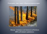 Лесные пожары уничтожили на Кубани 680 кубометров древесины. 5 гектаров леса горит в Краснодарском крае