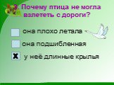 3. Почему птица не могла взлететь с дороги? она плохо летала она подшибленная. у неё длинные крылья