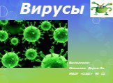 Вирусы. Выполнила: Новикова Дарья 9в МБОУ «СОШ» № 12