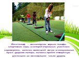 Мини-гольф — миниатюрная версия гольфа, спортивная игра, в которой отдельные участники  соревнуются, загоняя маленький мячик в специальные лунки ударами патера, пытаясь пройти отведённую  дистанцию за минимальное число ударов.
