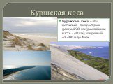 Куршская коса. Куршская коса - это песчаный полуостров длиной 98 км (российская часть - 48 км), шириной от 400 м до 4 км. 