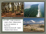 В 1987 году именно здесь был образован, в числе первых в России, Национальный парк «Куршская коса». «Танцующий лес»