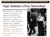 Карл Либкнехт и Роза Люксембург. Манифестации и забастовки переросли в вооруженное восстание. По приказу военного министра Носке, заявившего на заседании кабинета, что ему придется сыграть роль «кровавой собаки», офицерские части к 12 января подавили восстание. Лидеры КПГ Р. Люксембург и К. Либкнехт