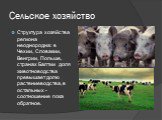 Сельское хозяйство. Структура хозяйства региона неоднородна: в Чехии, Словакии, Венгрии, Польше, странах Балтии доля животноводства превышает долю растениеводства, в остальных - соотношение пока обратное.
