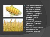 Основные пшенично-кукурузные районы Восточной Европы сформировались в пределах Средне- и Нижнедунайской низменностей и Дунайской холмистой равнины (Венгрия, Румыния, Болгария). Наибольших успехов в зерноводстве добилась Венгрия.