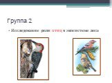 Группа 2. Исследование роли птиц в экосистеме леса