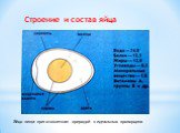 Строение и состав яйца. Яйцо пища приготовленная природой в идеальных пропорциях