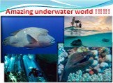 Amazing underwater world !!!!!!