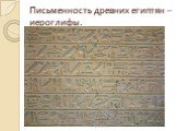 Письменность древних египтян – иероглифы.