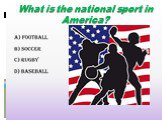 What is the national sport in America?