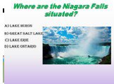 Where are the Niagara Falls situated?
