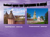 Спасо-Евфимиев монастырь. Ризоположенский монастырь. На небольшой территории города Суздаля расположены пять монастырей.