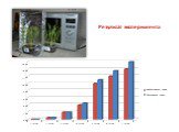 Влияние электромагнитного излучения микроволновой печи на прорастание и рост растений Слайд: 13