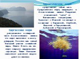 Адриатическое море представляет собой часть Средиземного моря, входящего в Атлантическом океане Разделяет итальянский "сапог" от Балканского полуострова. Граничит с Италией на западе и на востоке с Хорватией, Сербией, Боснией и Герцеговиной, Албанией и Черногорией. Саргассово море располож
