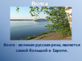 Волга. Волга - великая русская река, является самой большой в Европе.