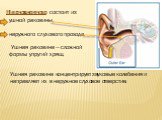 Наружное ухо состоит из. ушной раковины, наружного слухового прохода. Ушная раковина — сложной формы упругий хрящ. Ушная раковина концентрирует звуковые колебания и направляет их в наружное слуховое отверстие.