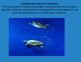 Головастая морская черепаха Логгерхед, или головастая морская черепаха, как и все 6 видов морских черепах, включена в список животных, находящихся под угрозой вымирания в соответствии с законом.