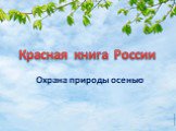 Красная книга России. Охрана природы осенью