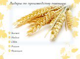 Лидеры по производству пшеницы. Китай Индия США Россия Франция