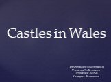 Castles in Wales. Презентацию подготовила Ученица 9 «В» класса Гимназии №1528 Холодова Валентина