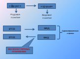 «фрукт» вид род «груша» Родовое понятие Видовое понятие. Однонаправленная стрелка. НЕСИММЕТРИЧНЫЕ ОТНОШЕНИЯ