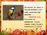 Несколько лет назад в России появился еще один экологический праздник – Синичкин день Он создан по инициативе Союза охраны птиц России и отмечается 12 ноября